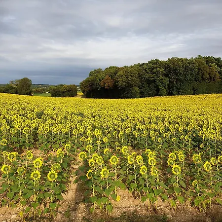 D'hotes Charente Tusson