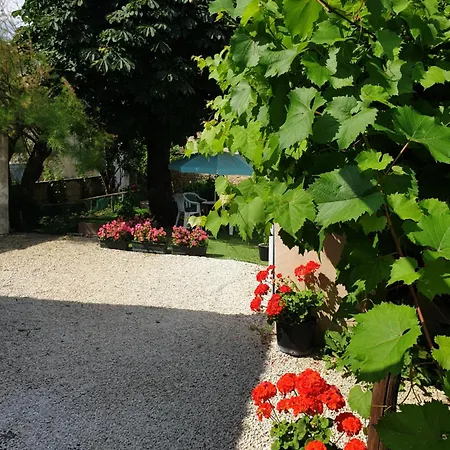 D'hotes Charente *
