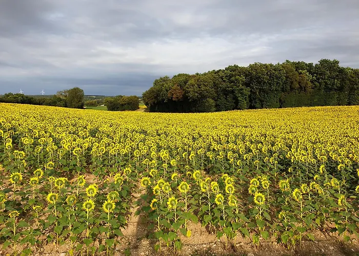 D'hotes Charente Tusson